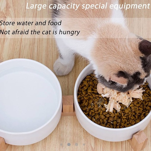 SPUNKYJUNKY Dog and Cat Ceramic Pet Bowls with Wood Stand - Picture 3 of 9